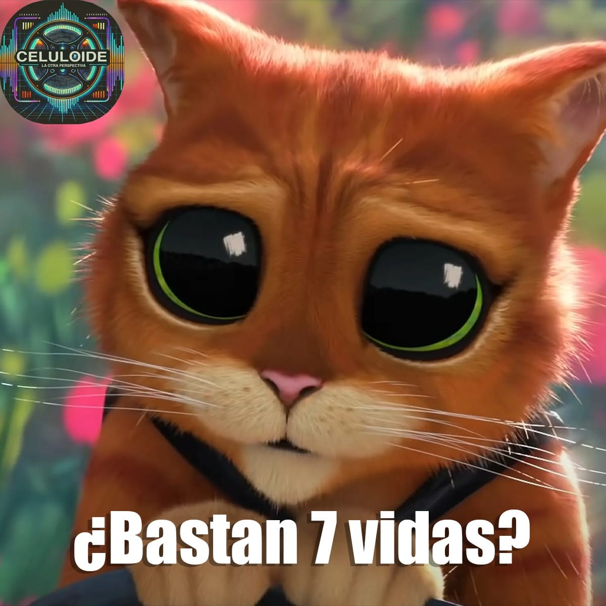 En este momento estás viendo CLOP E221 Bastan 7 Vidas